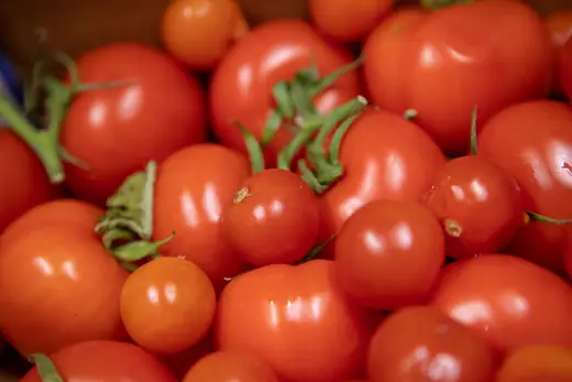 Pomodorini freschi appena arrivati in cucina